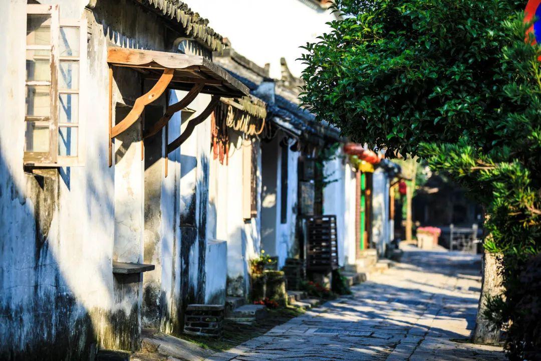 动物帮帮忙保卫家园